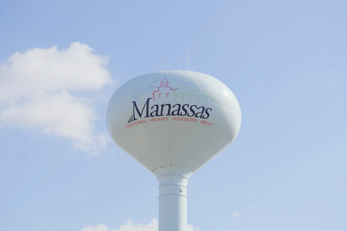 The Loyal Hygiene team